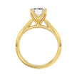 4 Carat Emerald Cut Tulip Diamond Engagement Ring
