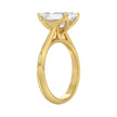 4 Carat Emerald Cut Tulip Diamond Engagement Ring