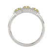 Elegant & Refined Lab Diamond Band in 14K White Gold