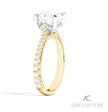 Elegant & Chic Couture Pave Diamond Engagement Ring in 14K Yellow Gold